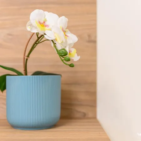 公寓 Bilocale Alighieri - Invacanza *