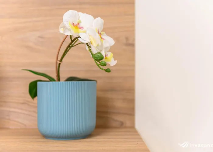 Apartment Bilocale Alighieri - Invacanza *